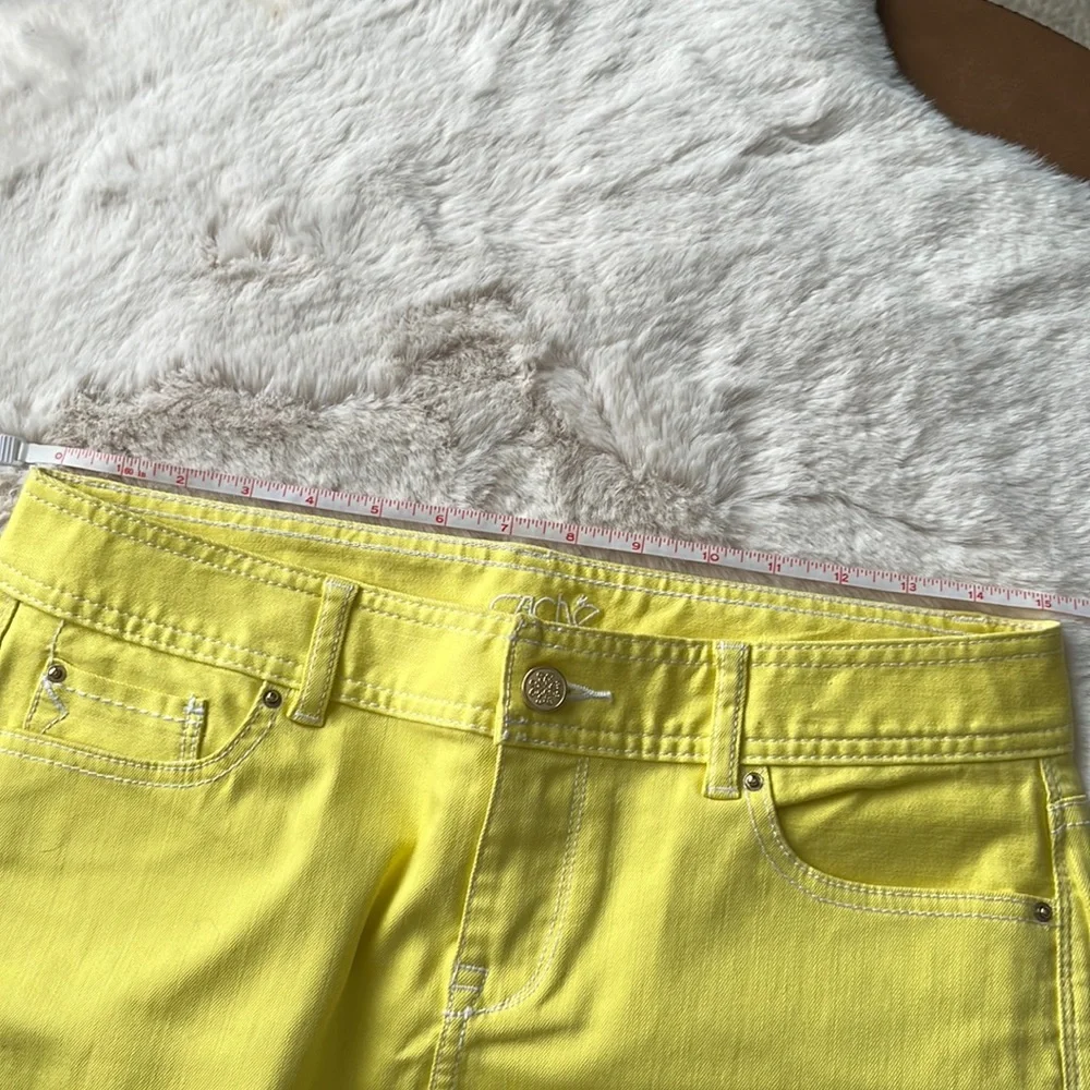 CACHE Skirt (CLST)‎